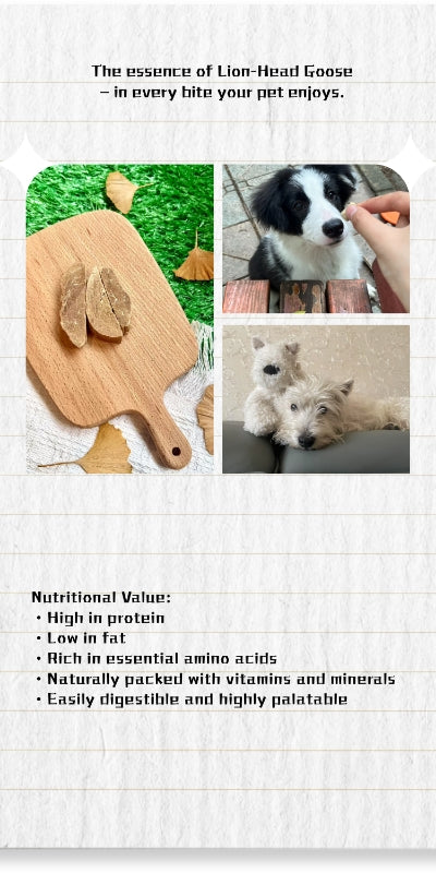 Freeze-dried Pet Snacks Lion-head Goose meat bites
