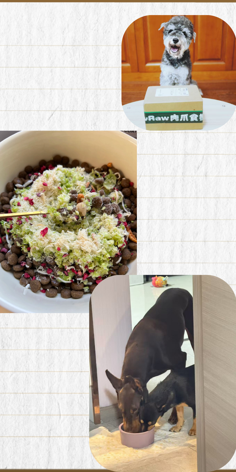 Freeze-dried Pet Brussels Sprouts Chicken Floss