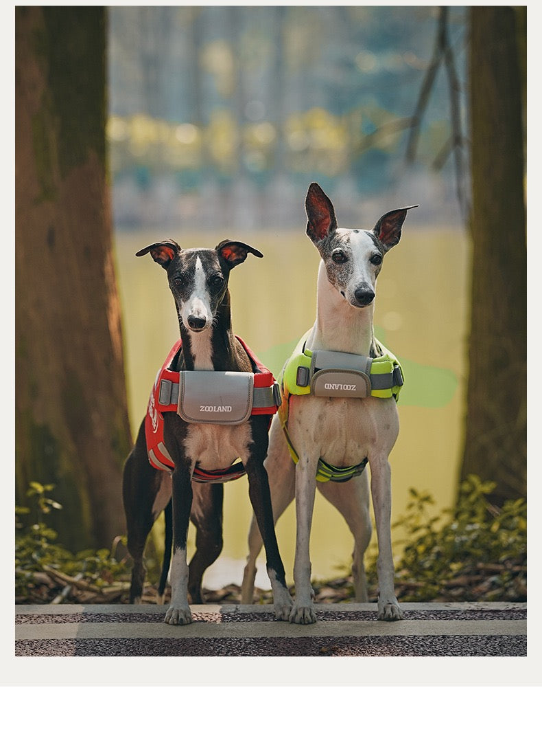 Pets Swim Life Jackets