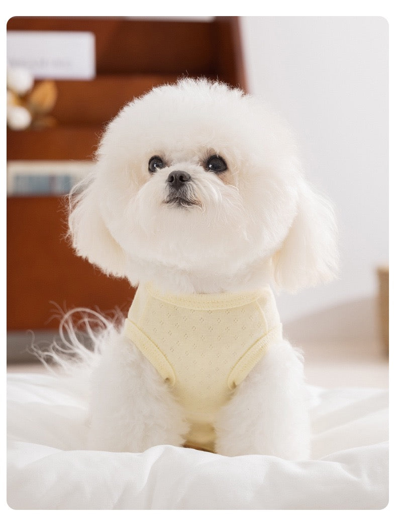 Suitical post-surgery recovery suit for small dogs & cats