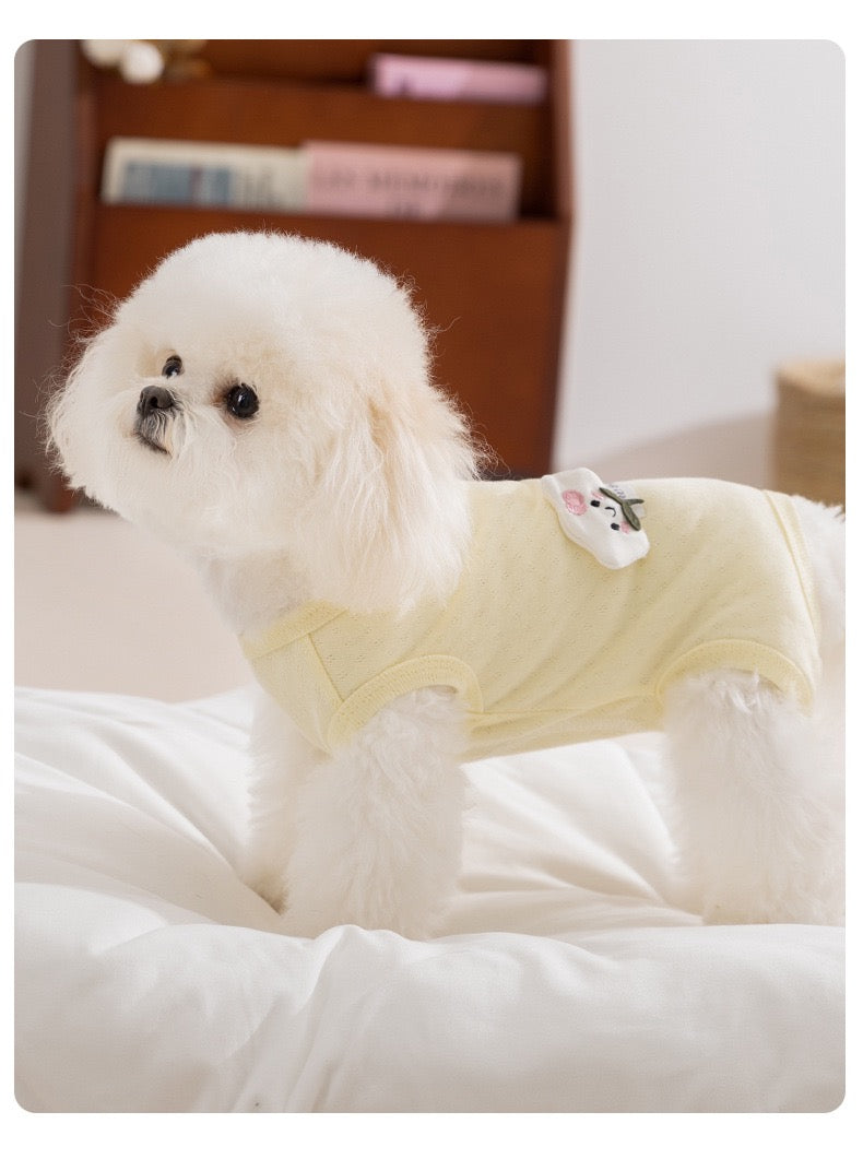 Suitical post-surgery recovery suit for small dogs & cats