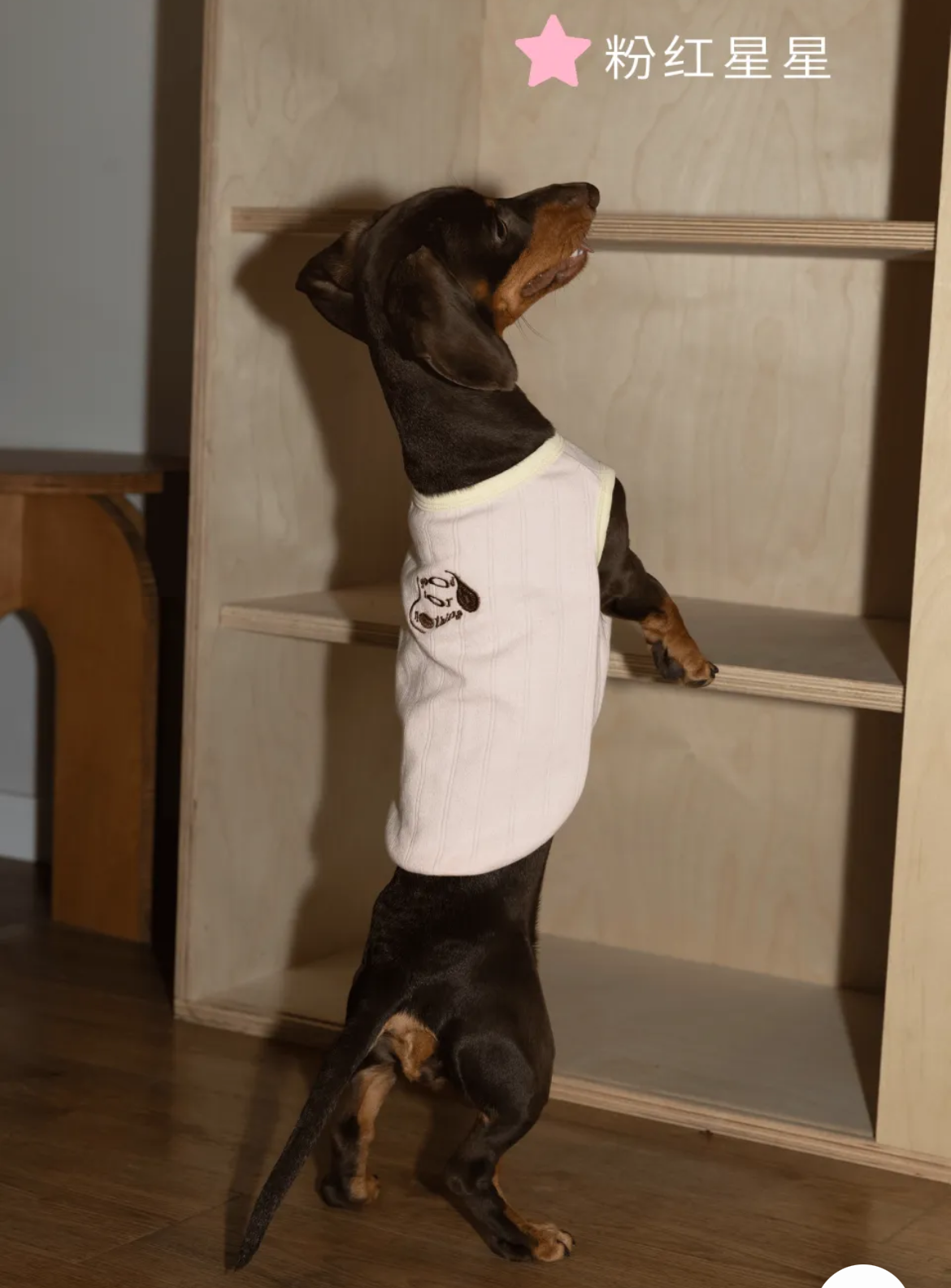 Sleeveless Dog Vest, Embroidered, Soft and Stylish