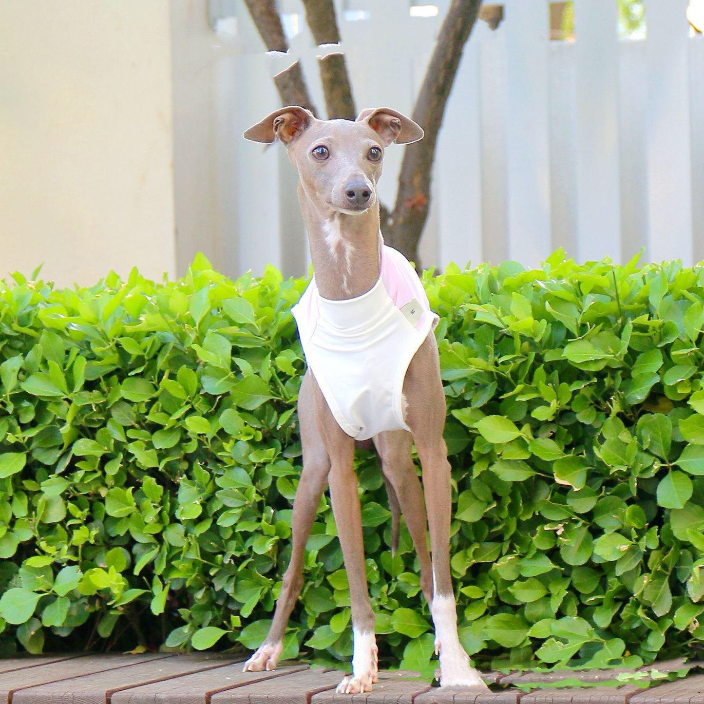 Pet Cooling Sun Protection Vest