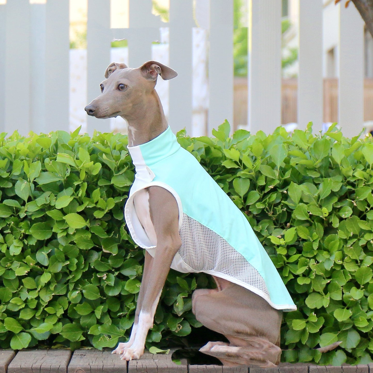 Pet Cooling Sun Protection Vest