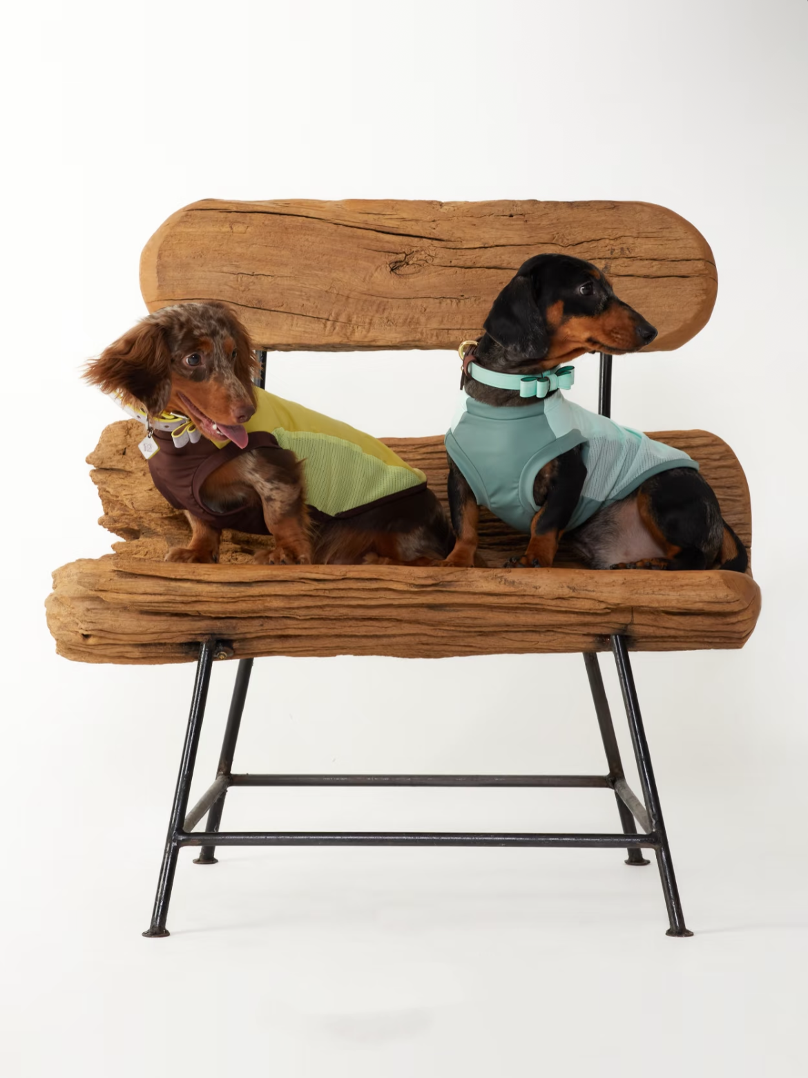 Pet Cooling Sun Protection Vest