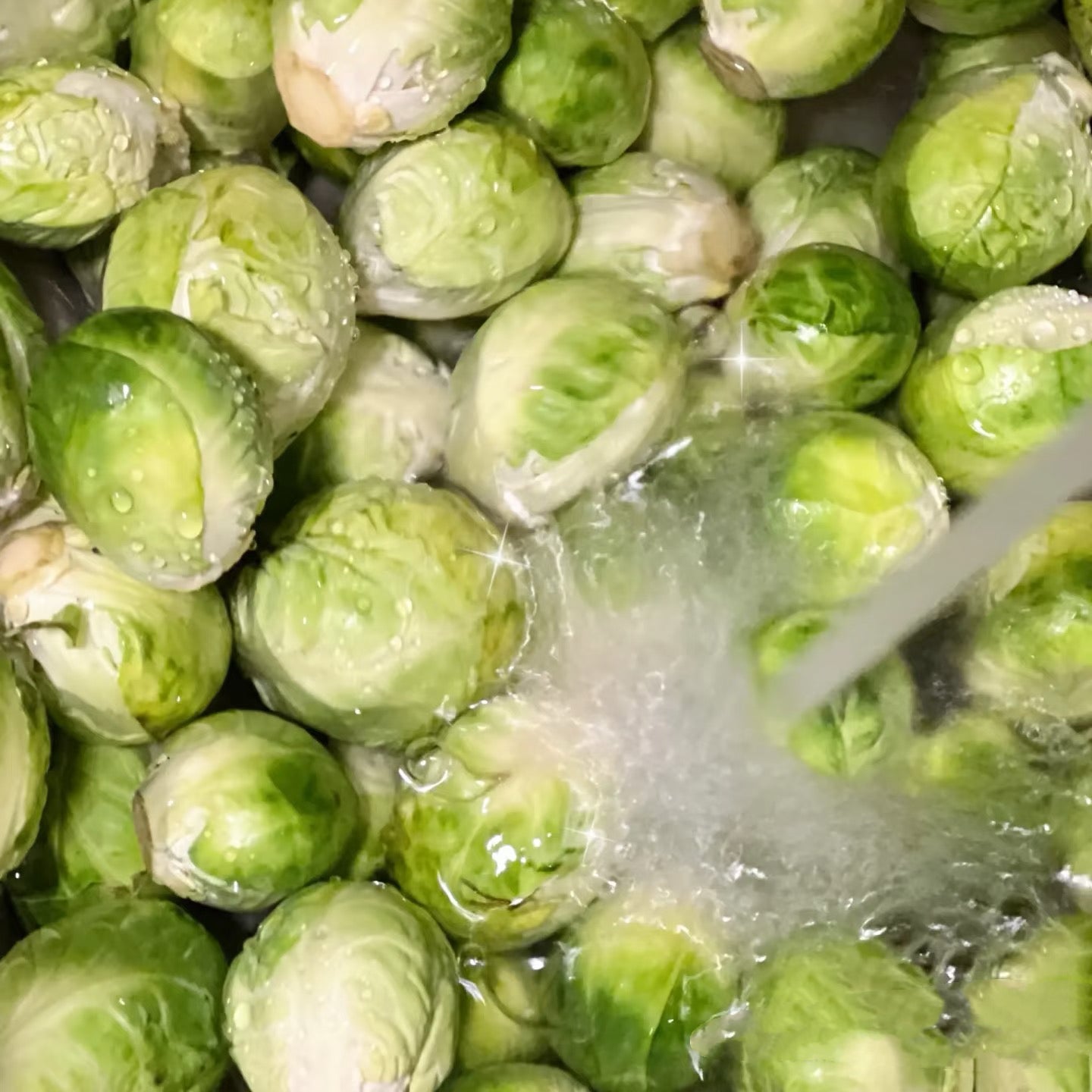 Freeze-dried Pet Brussels Sprouts Chicken Floss