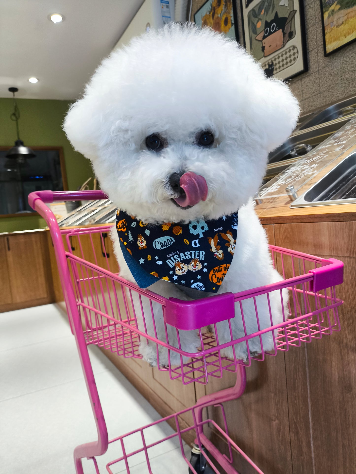 Freeze-dried Pet Snacks Rabbit Blood Cubes
