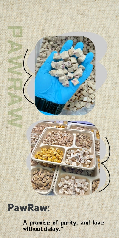 Freeze-dried Pet Snacks Duck Cranberry bites