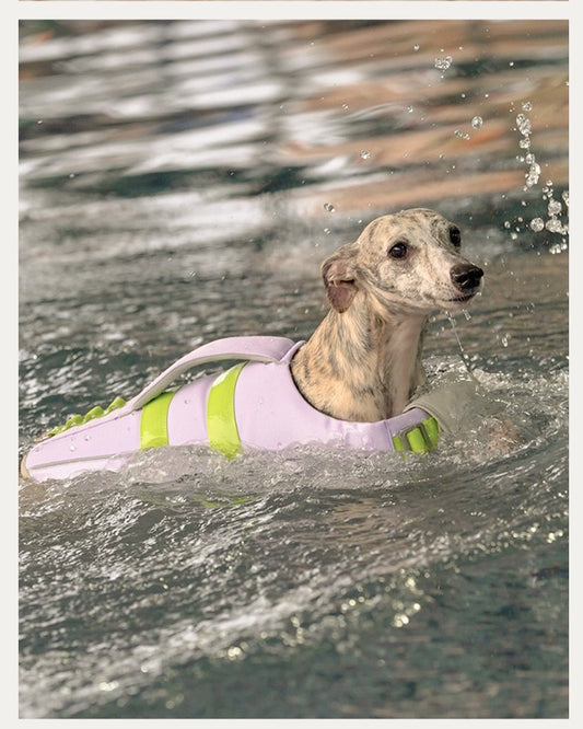 Pets Swim Life Jackets