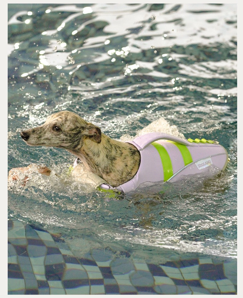 Pets Swim Life Jackets