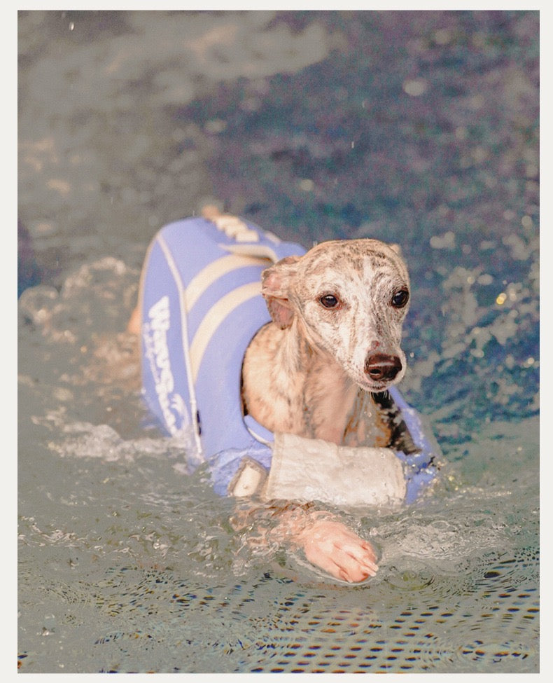 Pets Swim Life Jackets