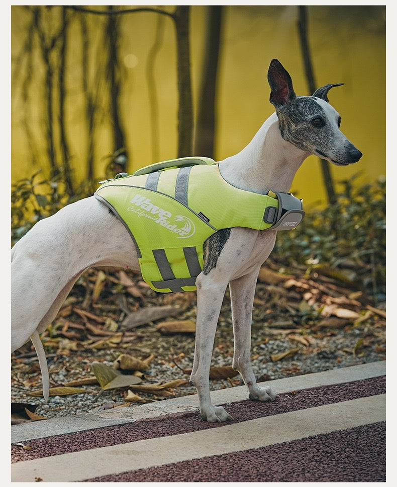 Pets Swim Life Jackets