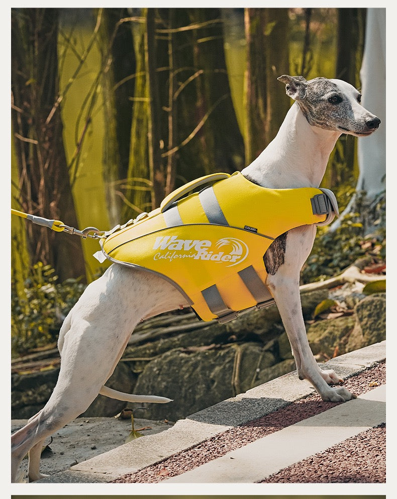 Pets Swim Life Jackets