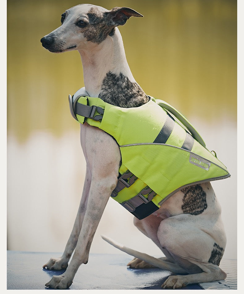 Pets Swim Life Jackets