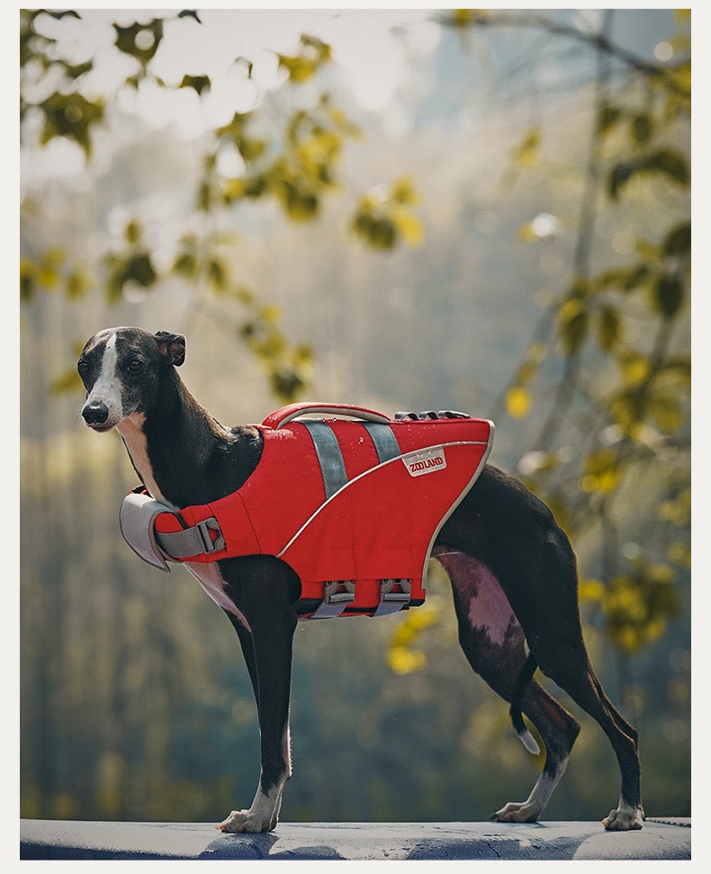 Pets Swim Life Jackets