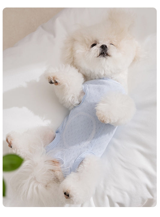 Suitical post-surgery recovery suit for small dogs & cats