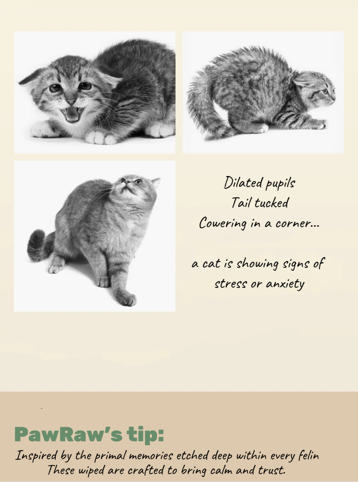 Pet Soothing Wipes (Botanical, natural scented)
