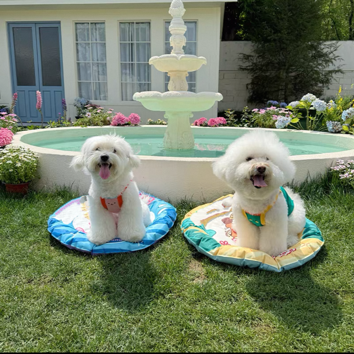 Pets cooling mat (Square)