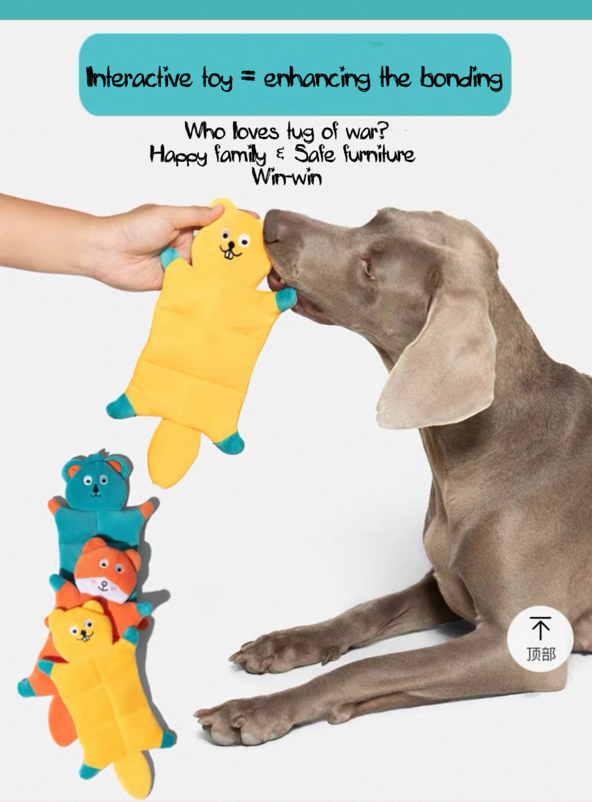 Squeaky Plush Pets Toy