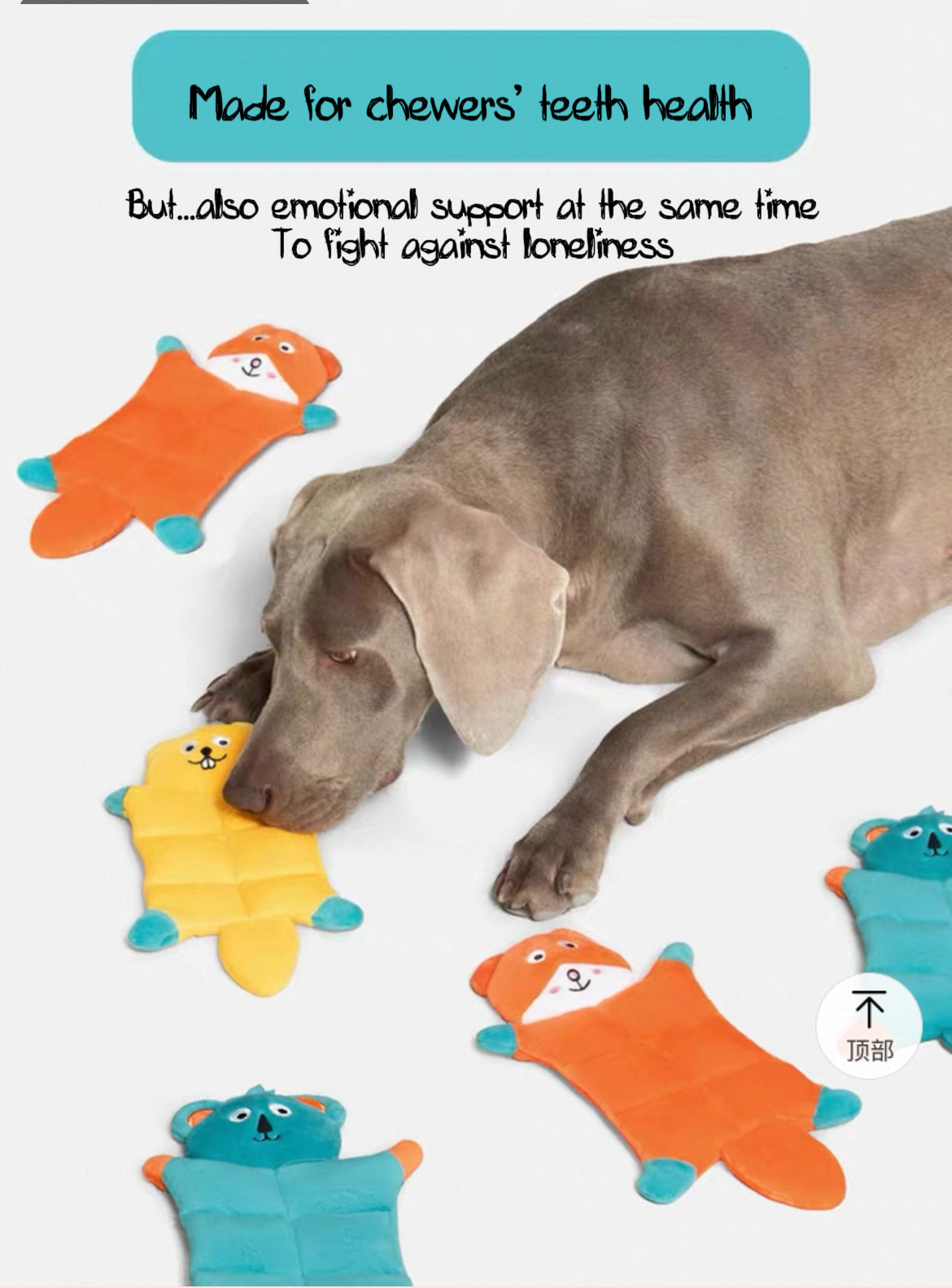 Squeaky Plush Pets Toy