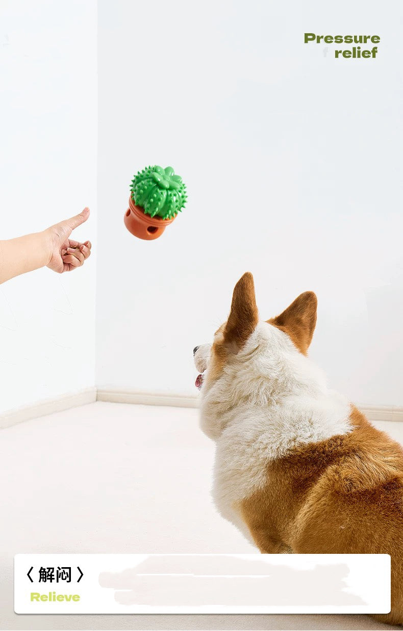 Pet Treat Dispenser & Lick Toy slow feeder