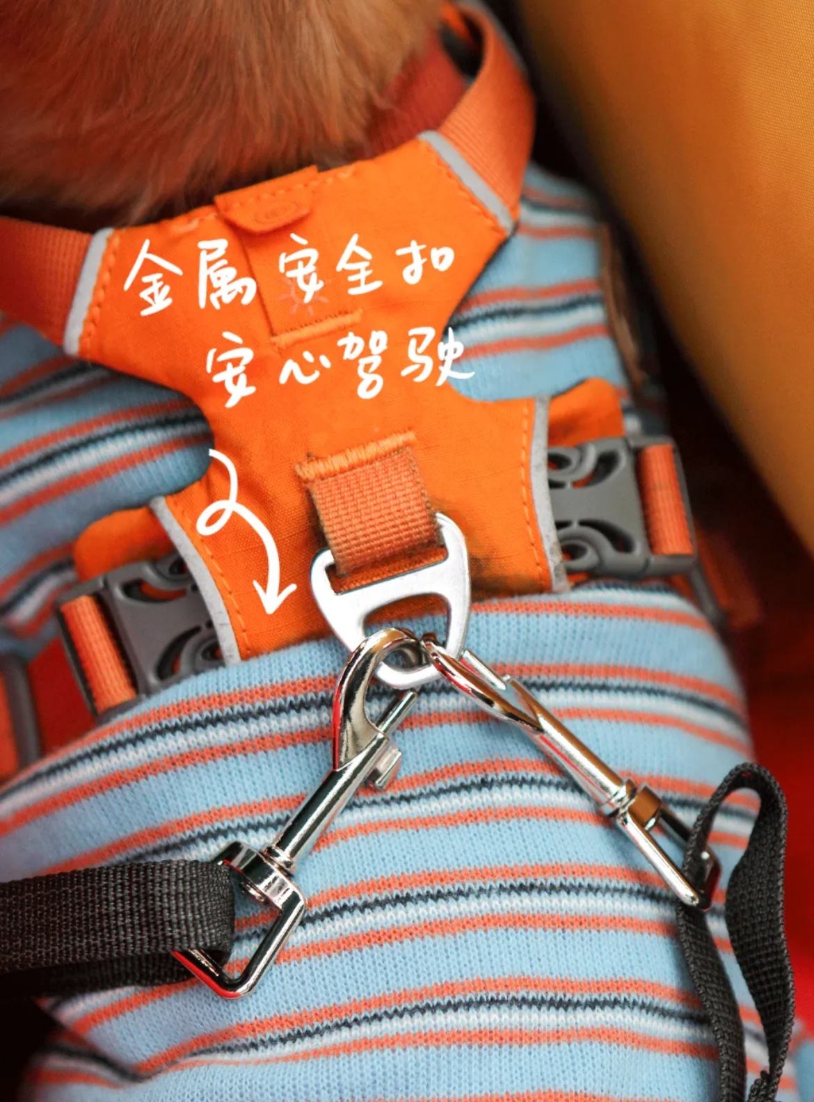 Designer Vintage Car seat, Multifunctional Pet Bag