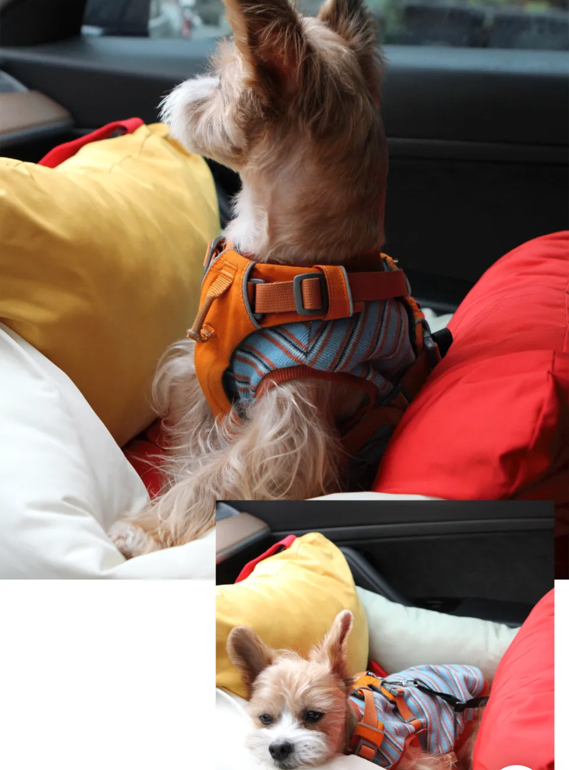 Designer Vintage Car seat, Multifunctional Pet Bag