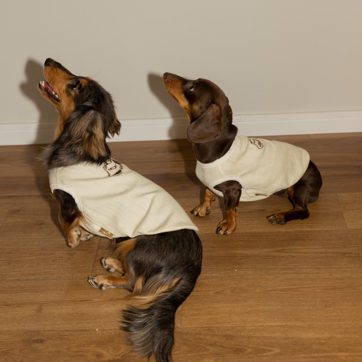 Sleeveless Dog Vest, Embroidered, Soft and Stylish