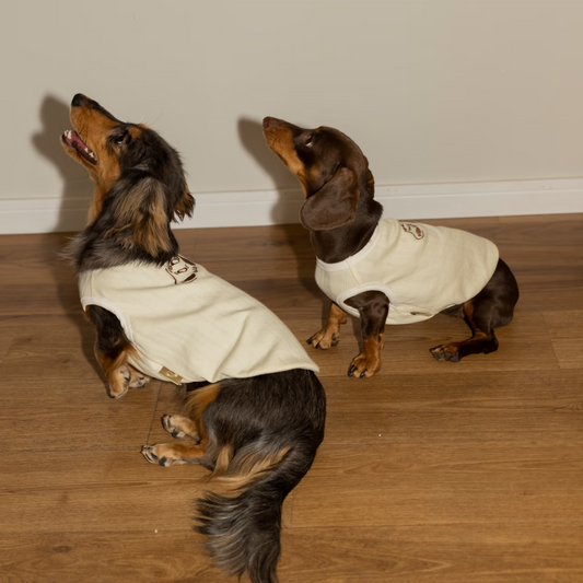 Sleeveless Dog Vest, Embroidered, Soft and Stylish