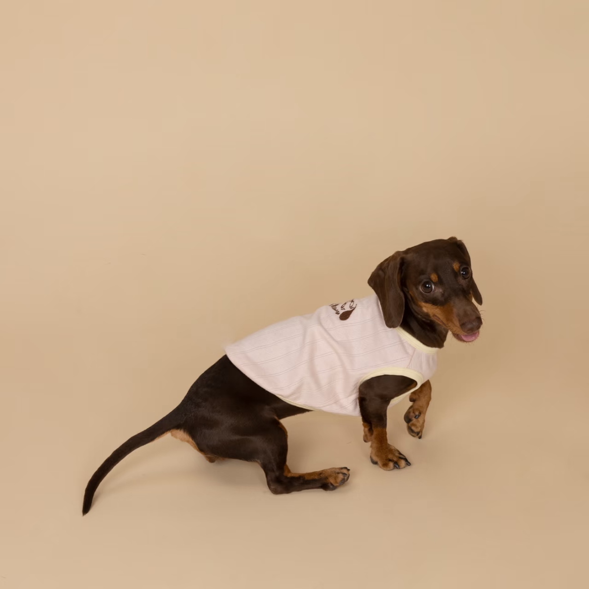 Sleeveless Dog Vest, Embroidered, Soft and Stylish