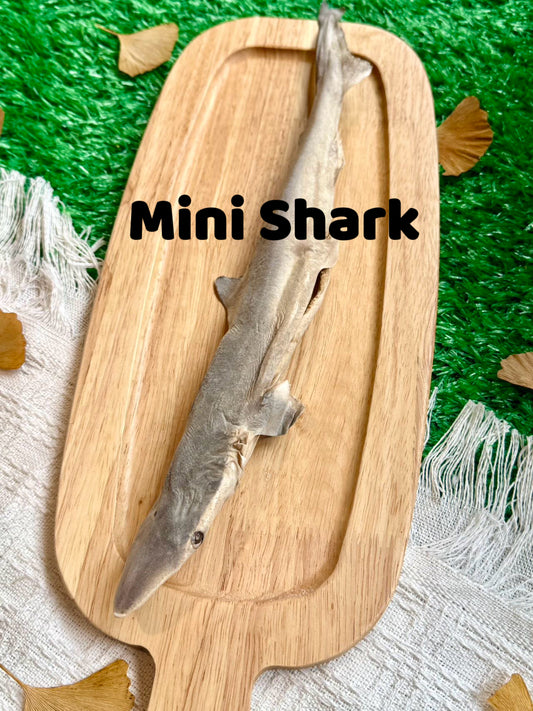 Freeze-dried Pet Snacks Mini Shark - Rare protein