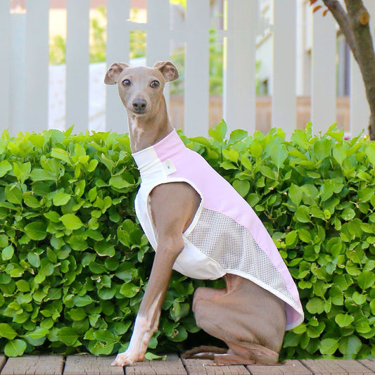Pet Cooling Sun Protection Vest