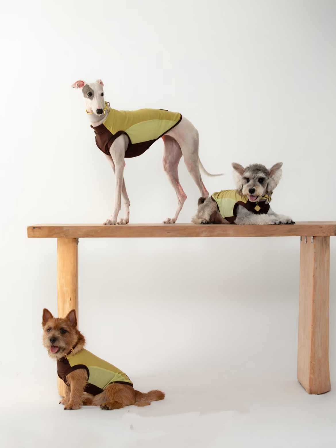 Pet Cooling Sun Protection Vest