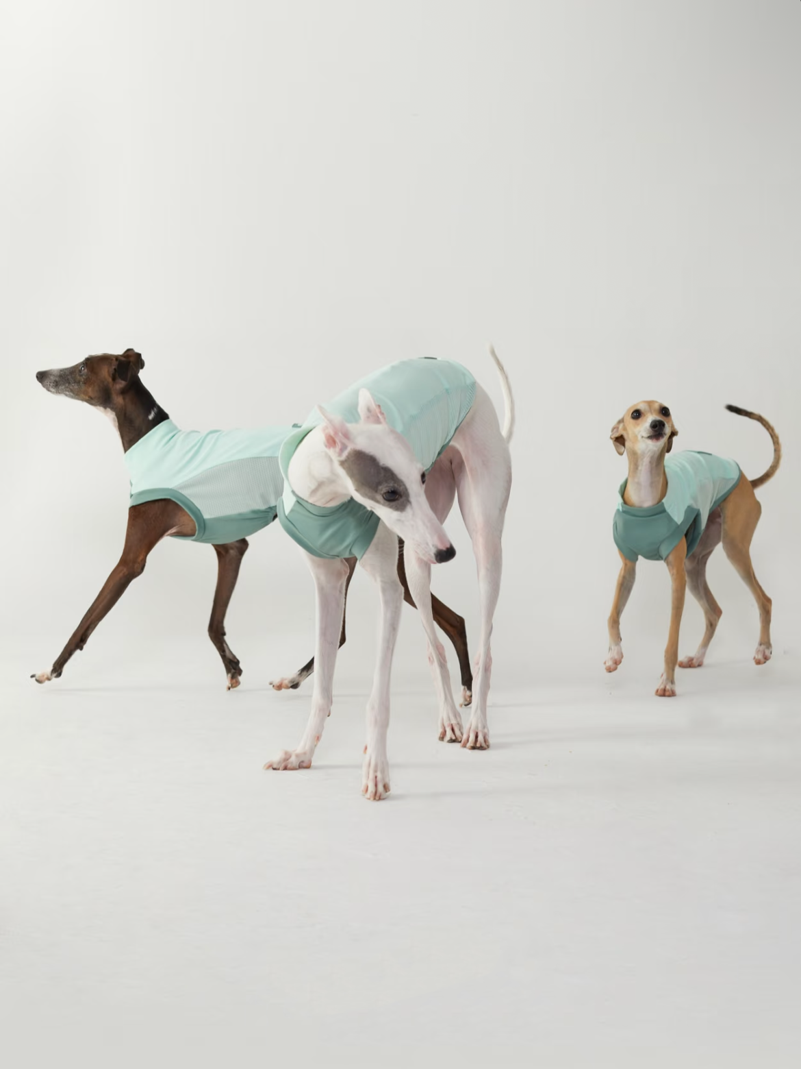 Pet Cooling Sun Protection Vest