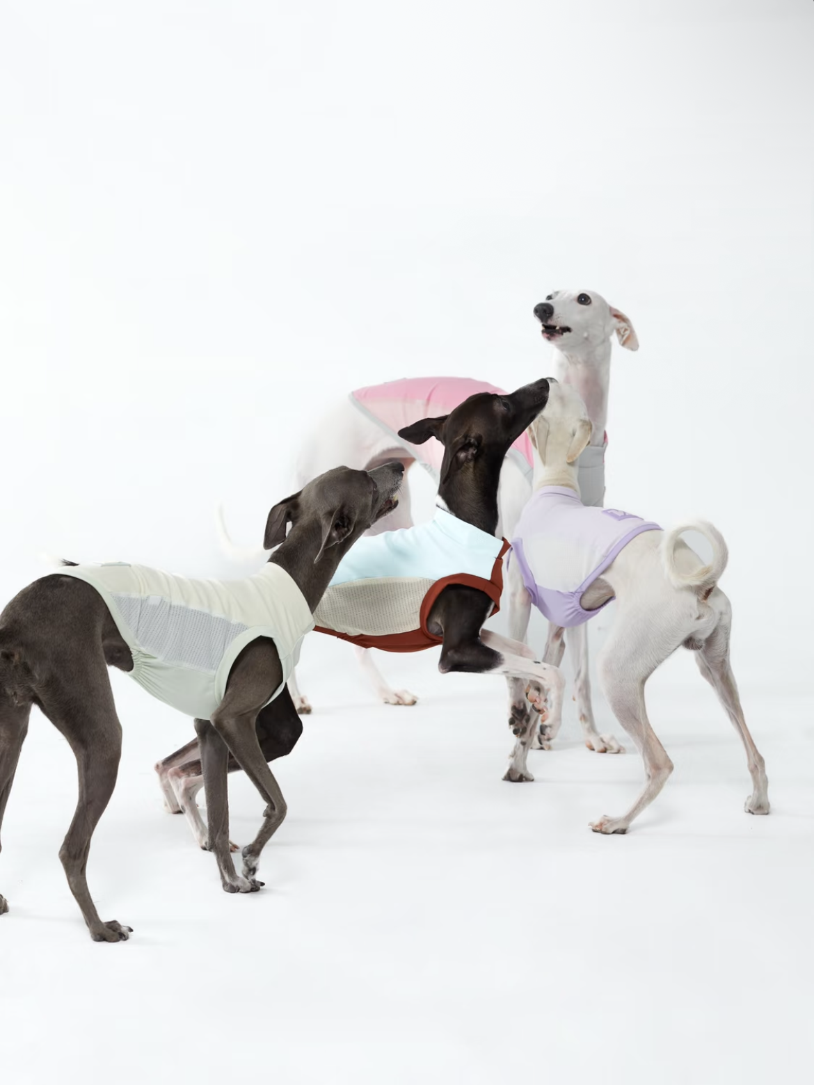 Pet Cooling Sun Protection Vest