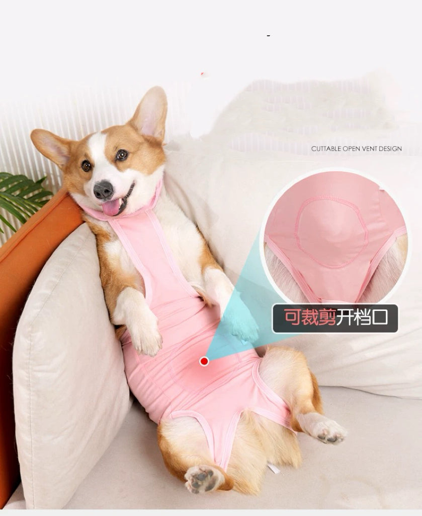 Suitical recovery pet recovery suit - Large Size Available!