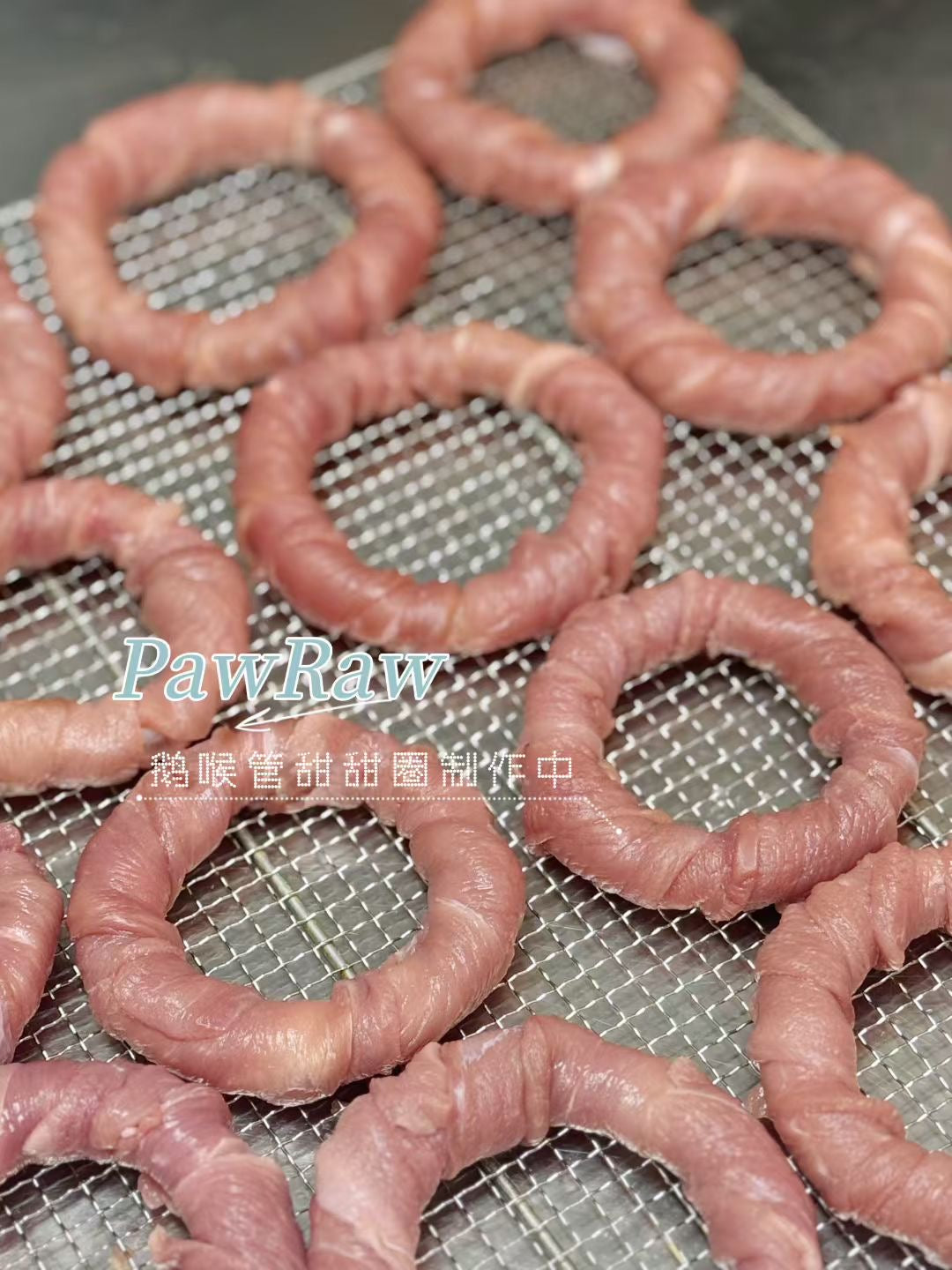 Duck & Goose Trachea Freeze Dried Donut for Dogs and Cats