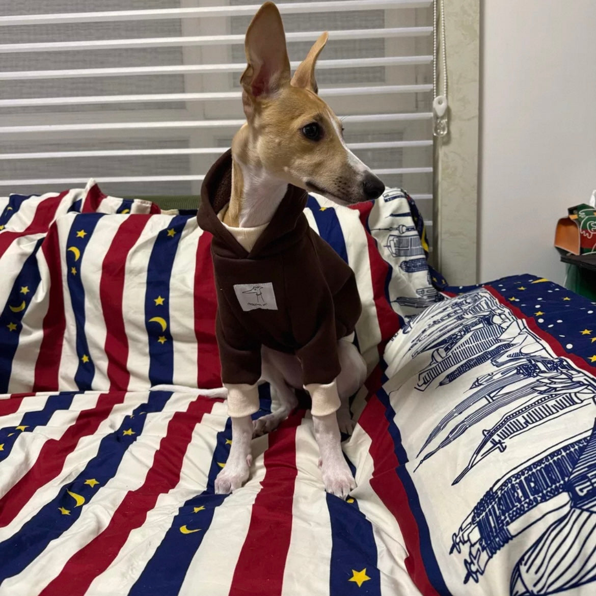 Pets Fleece Winter Hoodie