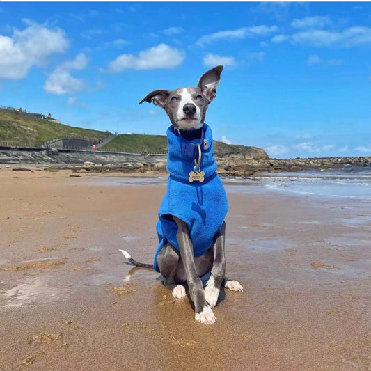 Polar Fleece Turtleneck Pet Winter Jumper