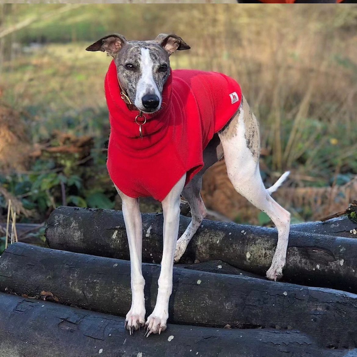 Polar Fleece Turtleneck Pet Winter Jumper