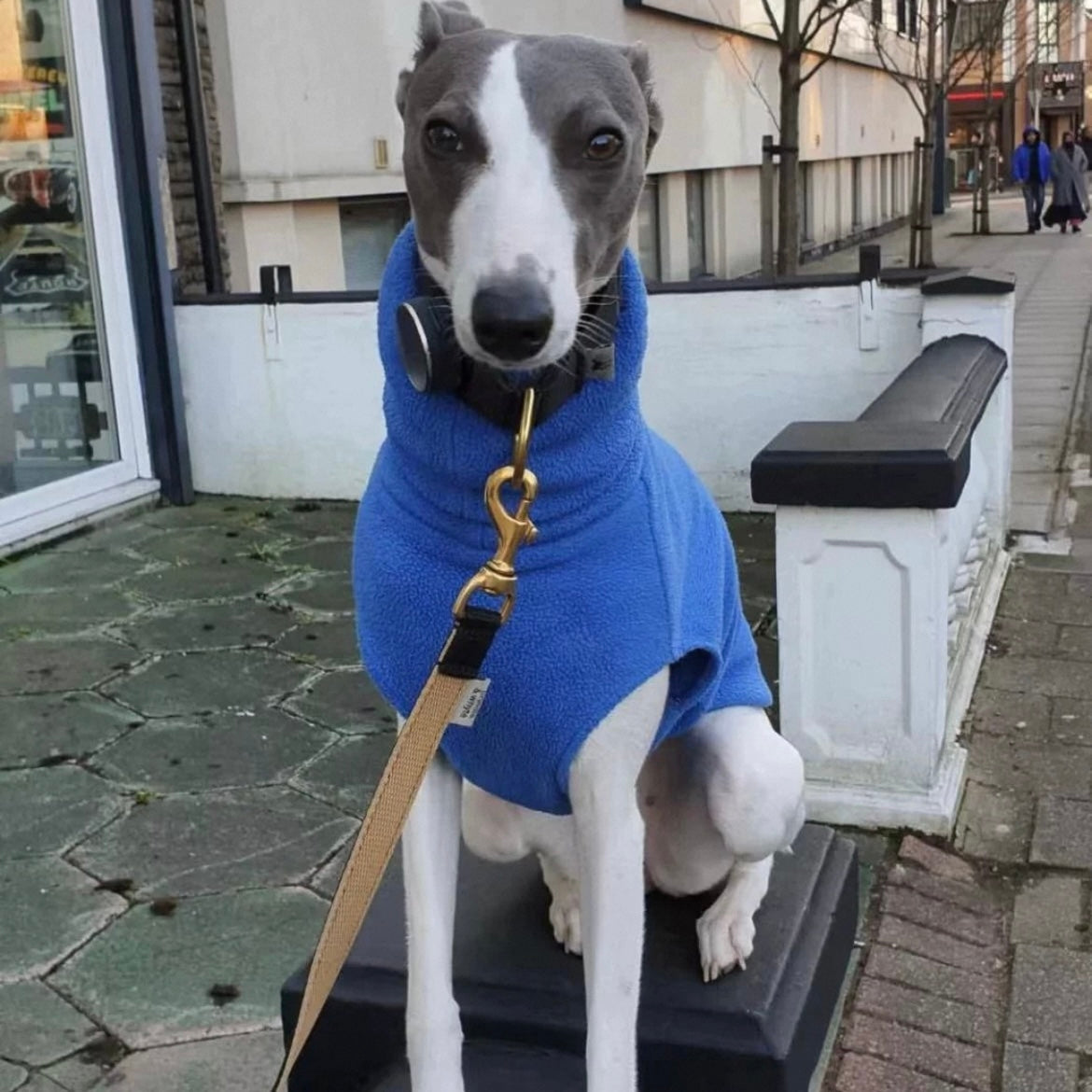 Polar Fleece Turtleneck Pet Winter Jumper