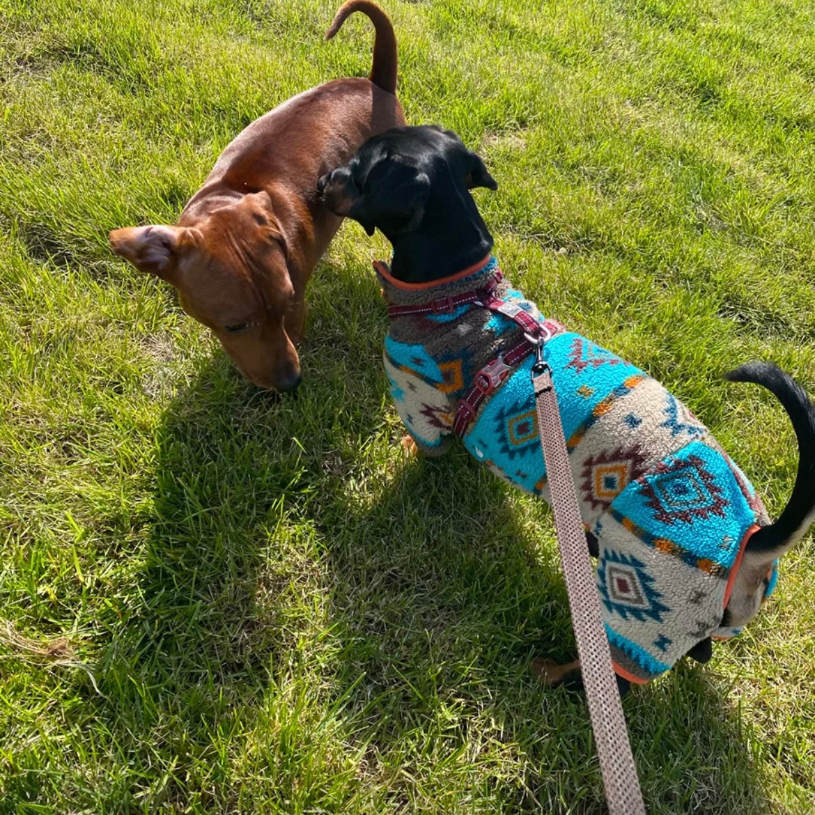 Vintage Winter Knit Dog Sweater