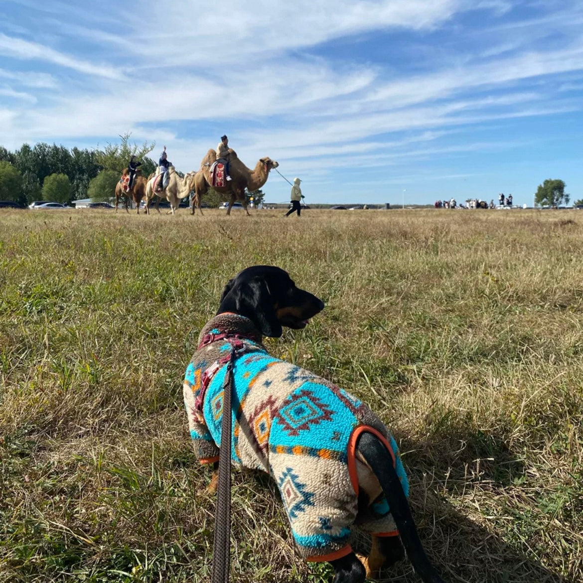 Vintage Winter Knit Dog Sweater