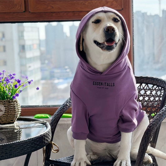 Signature Dog T-Shirt For Small & Large Breeds