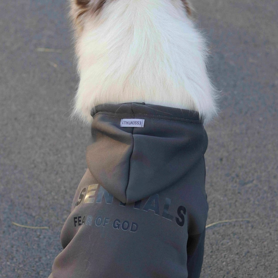 Signature Dog T-Shirt For Small & Large Breeds