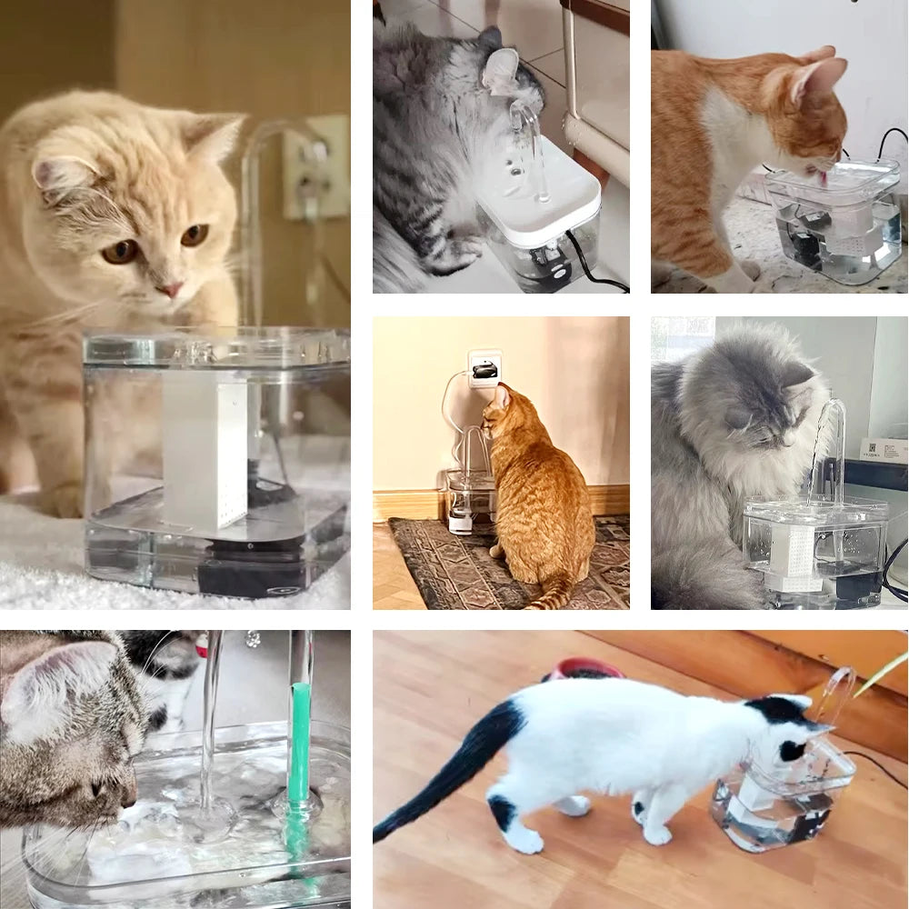 Cat Water Fountain Auto Filter USB Electric